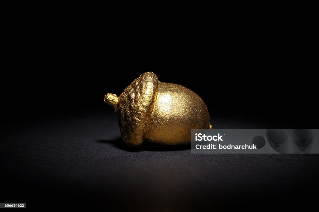 golden acorn on a black background golden acorn on a black background, abstract business concept Acorn Stock Photo