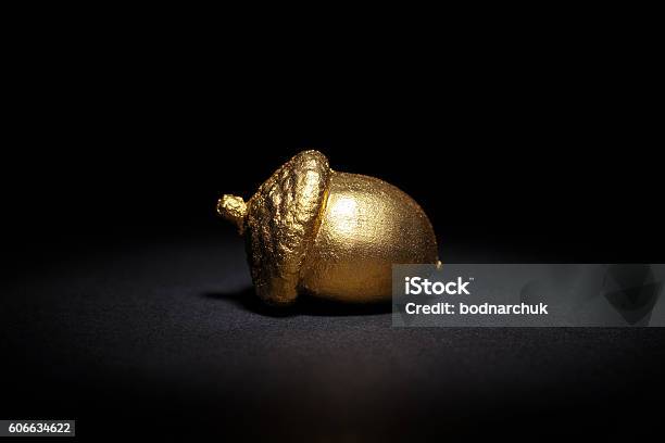 Golden Acorn On A Black Background Stock Photo - Download Image Now - Acorn, Gold - Metal, Gold Colored