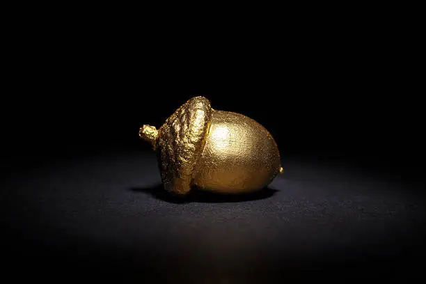golden acorn on a black background, abstract business concept