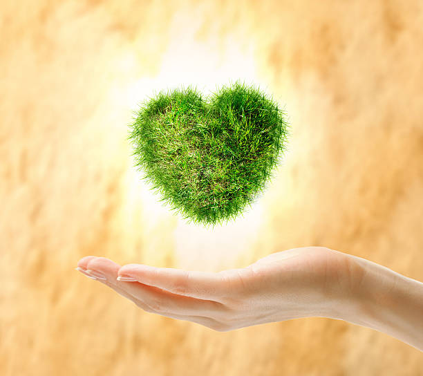 istock Heart made of green grass on hand 606638358