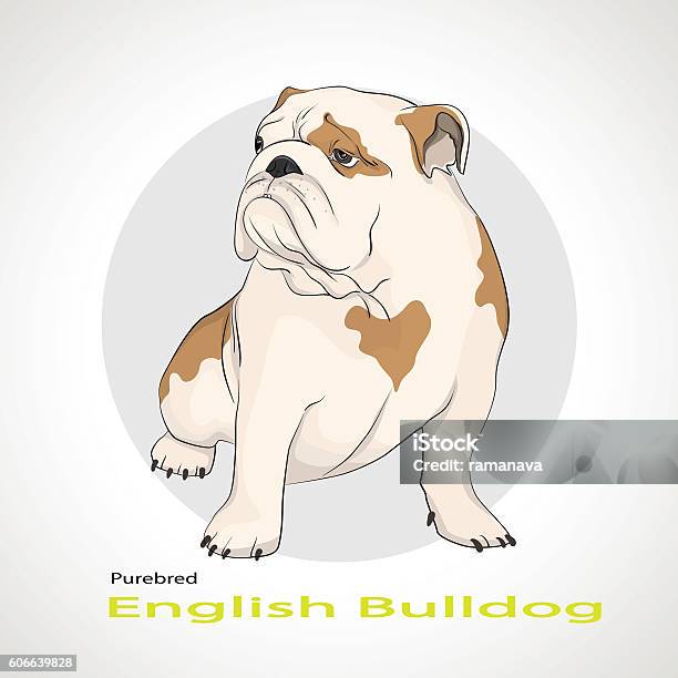 English Bulldog British Bulldog Stock Illustration - Download Image Now - English Bulldog, In Silhouette, Animal