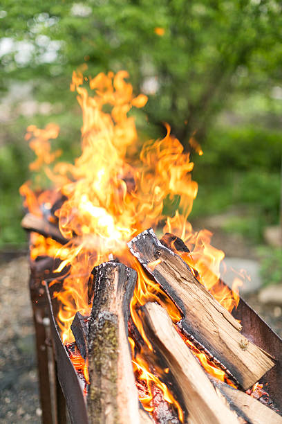 istock fire close up. the burning firewood. 606640718