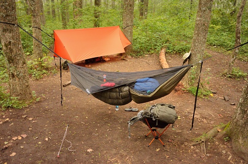 Two camping hammocks hanging in a wilderness campsite.  Photograph taken along the appalachian trail in north georgia.  The white blaze is visible in the back of the image, near the trail.  