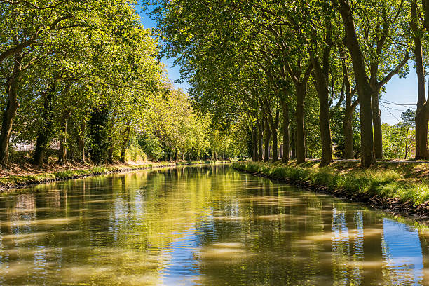 istock Canal du midi near carcasonne 606667252