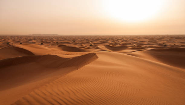 desierto de abu dhabi stockfoto - desert fotografías e imágenes de stock