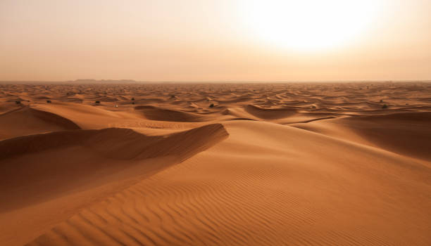 Abu Dhabi Desert Stockfoto Desert, Sand Dune, Dubai, Sandy, Sunset sand dune stock pictures, royalty-free photos & images
