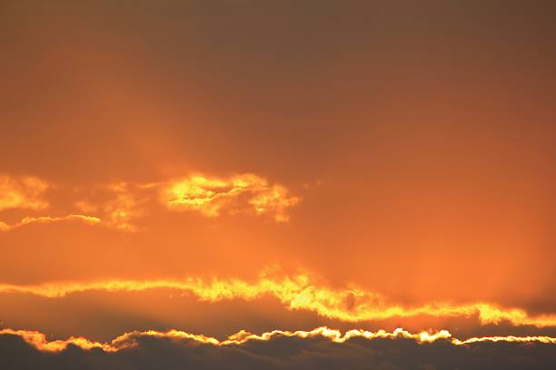 istock Sunset Background - Bliss and Gold in Nature 606670326