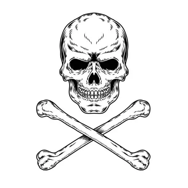 Vector illustration of Vector illustration of a skull and crossbones