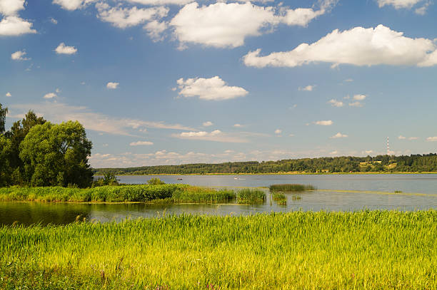 rawTree by a Quiet Lakeshore – Reflections of Clouds and Sky in Peaceful Nature