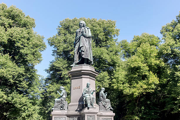 istock statue of Carl Linnaeus 606673584