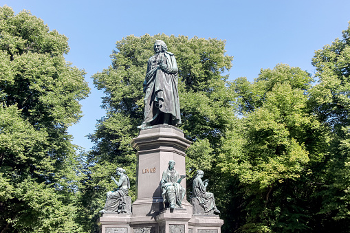 statue of Carl Linnaeus in stockholm 