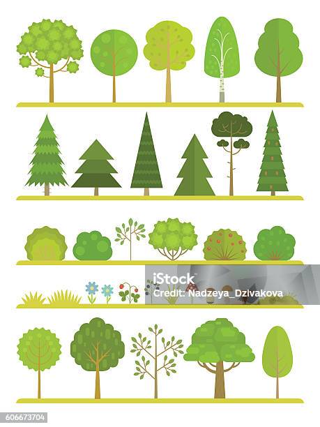 Ilustración de Colección De Plantas Forestales y más Vectores Libres de Derechos de Árbol - Árbol, Arbusto, Flor