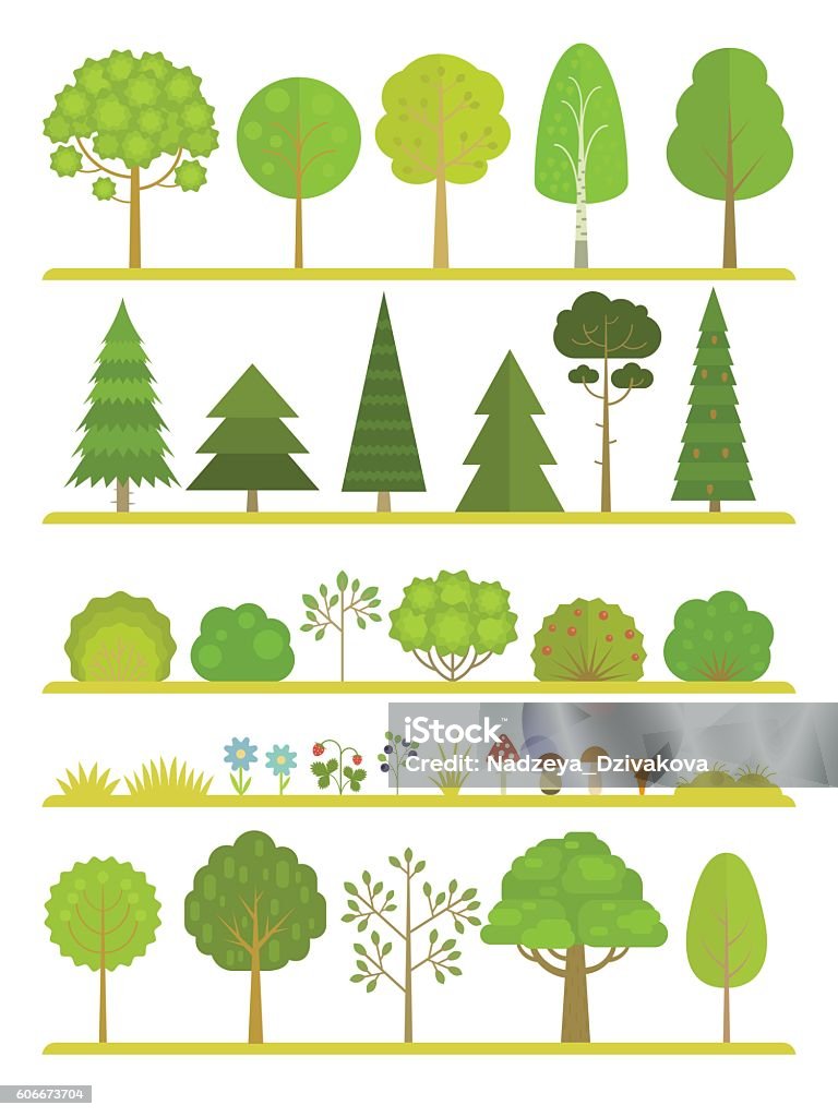 Forest plants collection Set of flat forest and park elements: different types of trees, grass, mushrooms, berries and bushes, isolated on white background. Tree stock vector