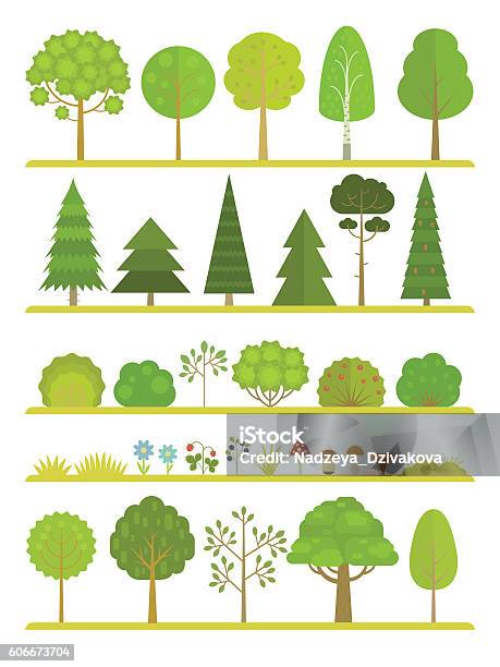 Forest Plants Collection Stock Illustration - Download Image Now - Tree, Bush, Flower