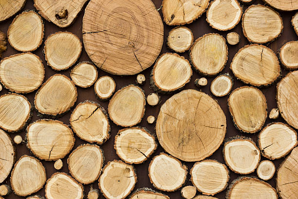 istock Wood texture background have many logs that cut from big 606677012