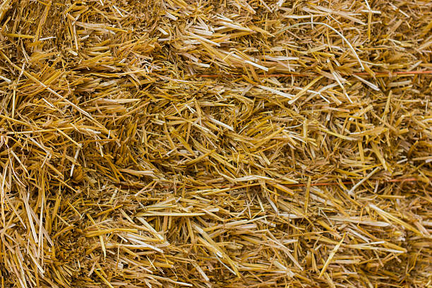 istock Close up of ground. Texture straw or hay 606677184