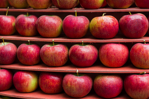 istock red apple healthy fresh fruit stall market. 606678314