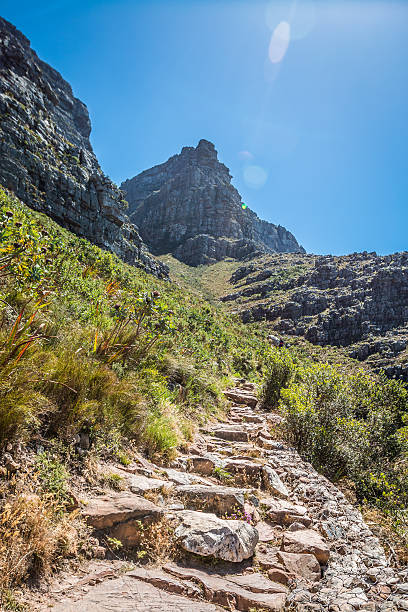 istock Table mountain trek, Cape Town South Africa 606679020