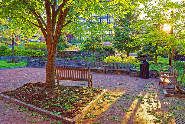 istock Romantic sunset in the park in Philadelphia 606702444