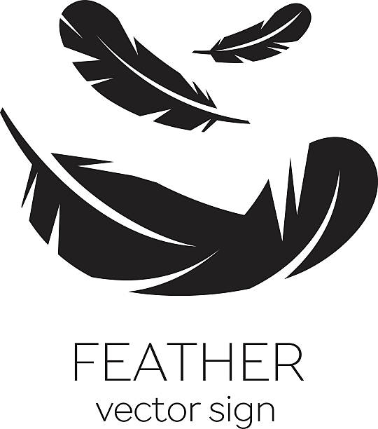 перо, вектор, силуэт, икона, логотип - feather stock illustrations