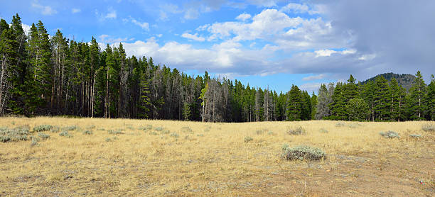istock Alpine valley landscape in bright daylight 606703382