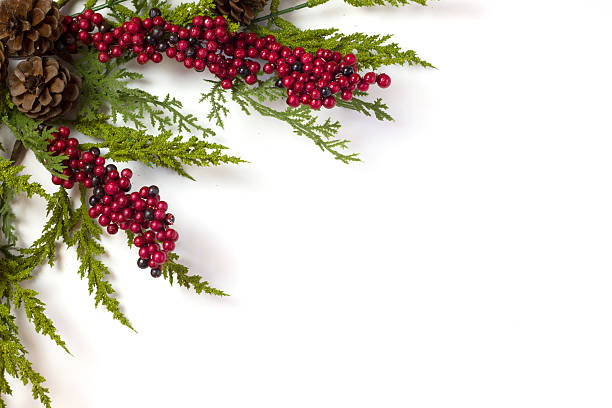 istock Christmas Garland with Pine Cones and Berries isolated on white 606709650