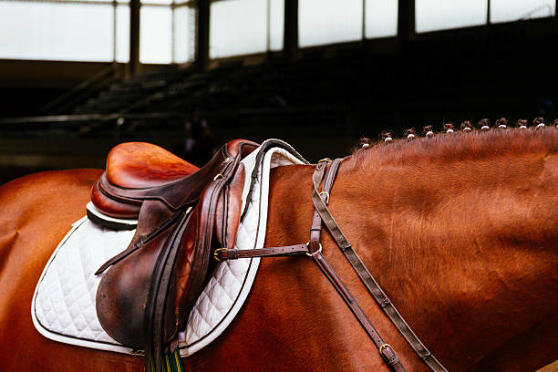 Leather saddle with the reins on a brown horse stock photo