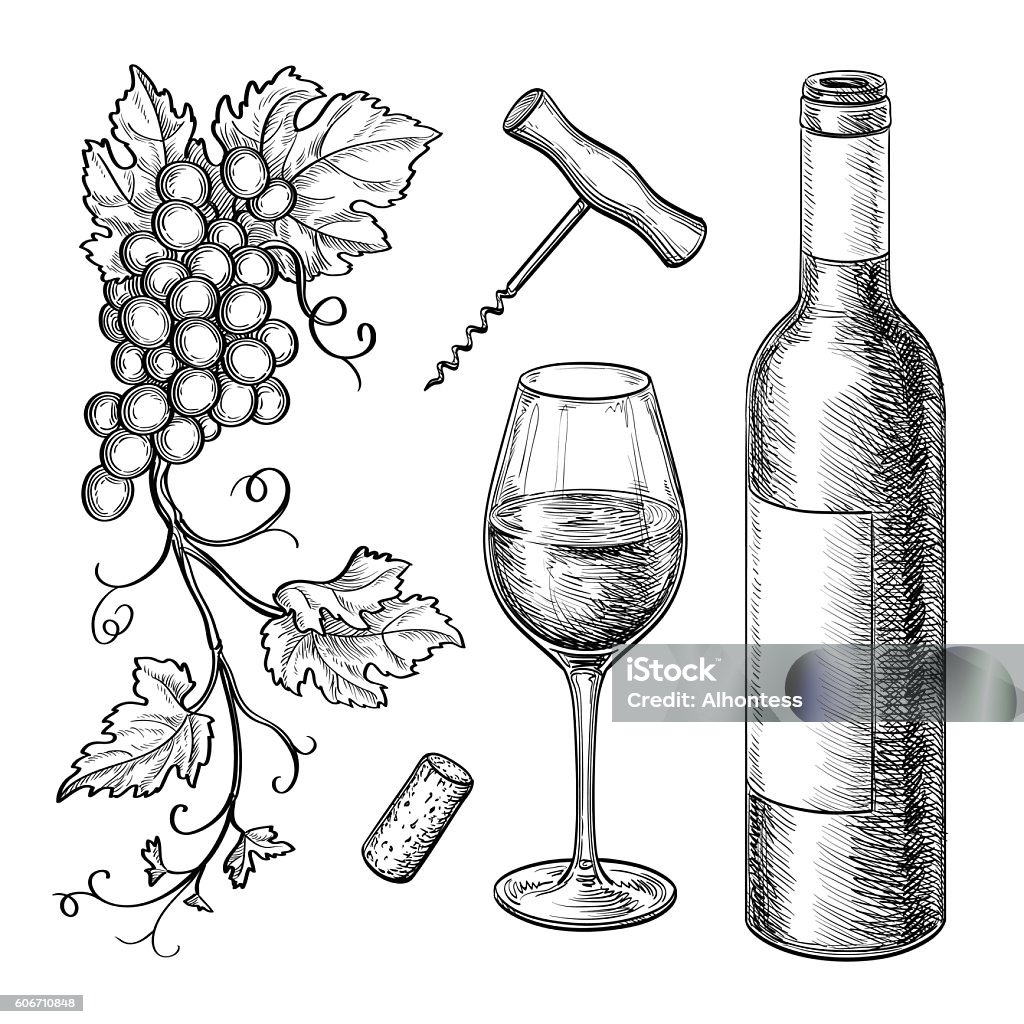 Grape branches, bottle, glass of wine. Grape branches, bottle, glass of wine, corkscrew, cork. Isolated on white background. Hand drawn vector illustration. Retro style. Wine stock vector