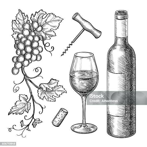 Grape Branches Bottle Glass Of Wine Stock Illustration - Download Image Now - Wine, Illustration, Wine Bottle