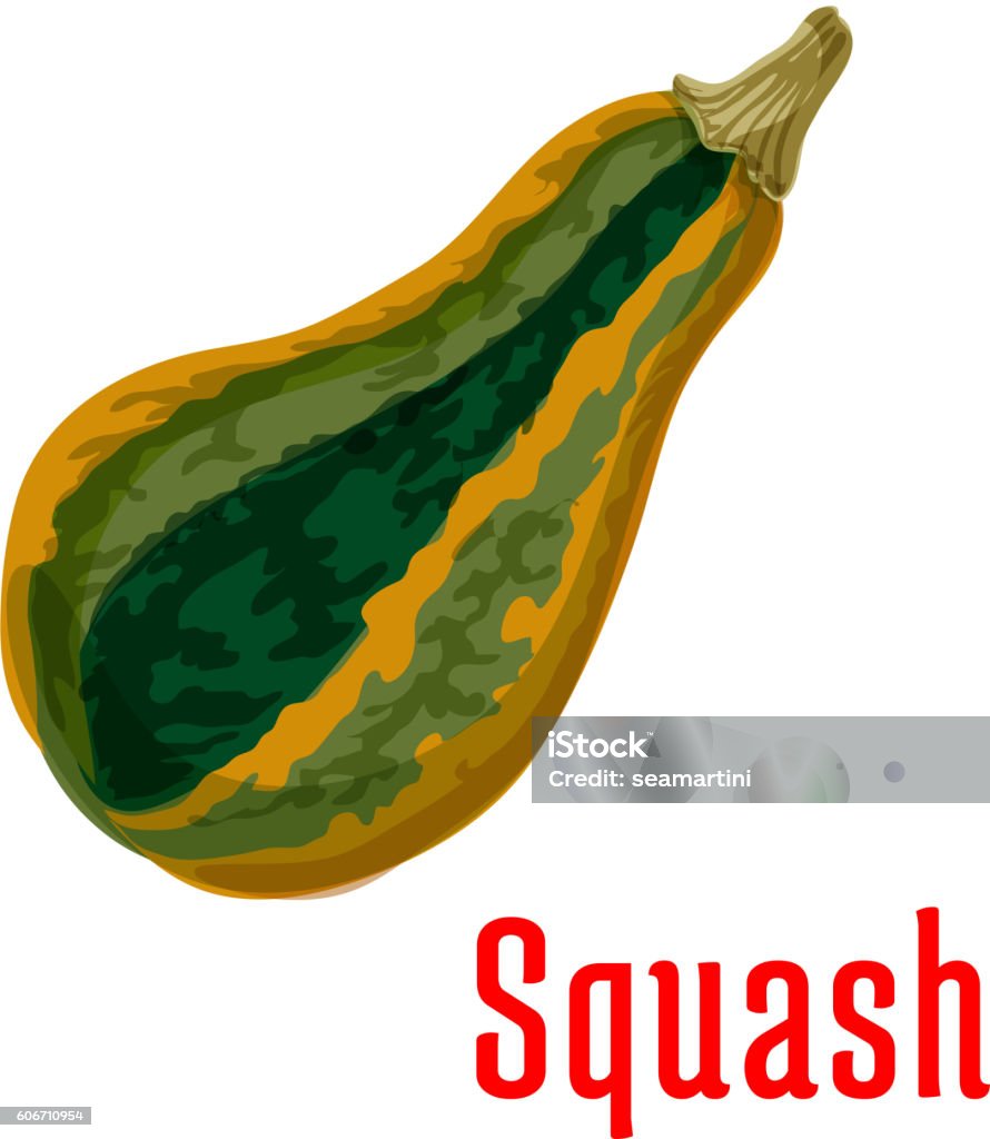 Ilustración de Icono De Verduras De Calabaza Madura Estilo De Dibujos Animados y más Vectores Libres de Derechos de Agricultura - iStock Ilustración de Icono De Verduras De Calabaza Madura Estilo De Dibujos Animados y más Vectores Libres de Derechos de Agricultura - iStock