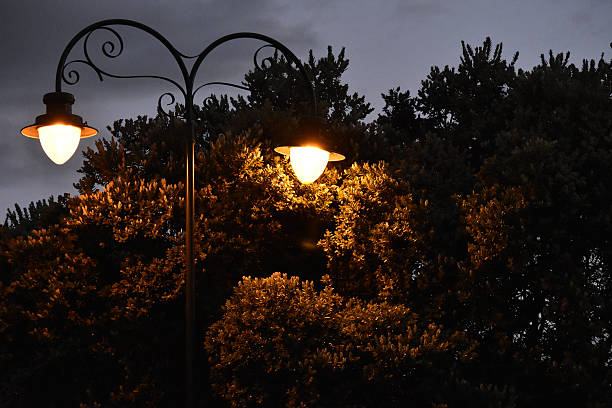 istock Vintage street lamps 606733936