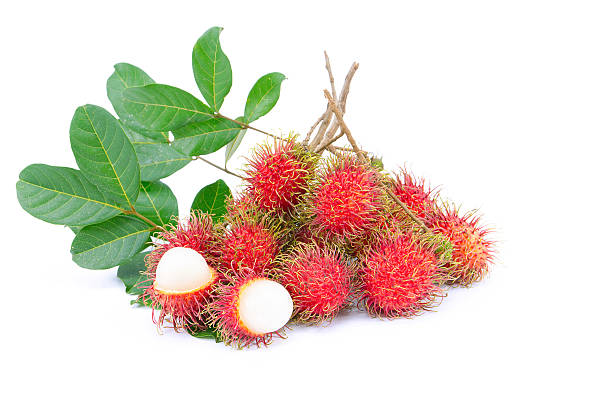 istock Ripe rambutan isolated on white background 606737284