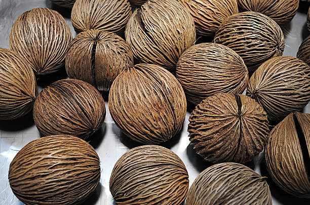 Othalanga or Pong pong seed for background.