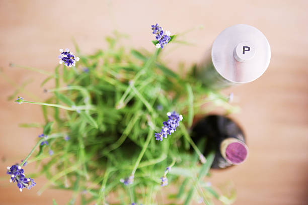 Close-up of lavender purple flowers.