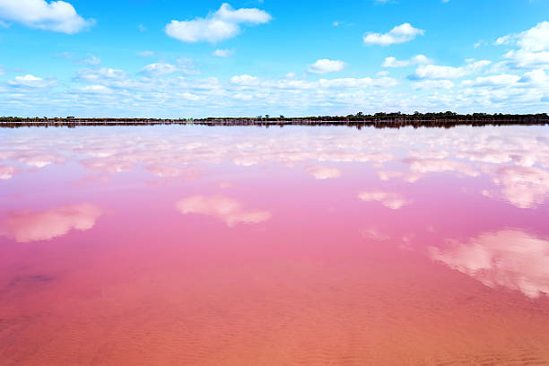 istock Pink salt lake in Western Australia 607253286