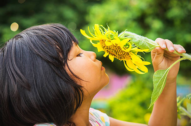 istock cute child with sunflower in nature 607253520