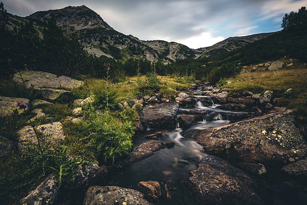 istock Beautiful stream in a mountain valley 607254072