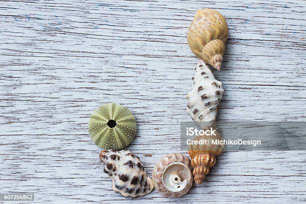 Letter J Made Of Seashell Stock Photo - Download Image Now - Animal Markings, Animal Shell, Antique