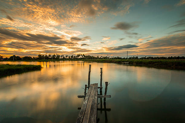 wooded bridge in the port at sunset. - men refreshment male summer imagens e fotografias de stock