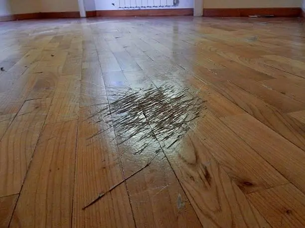 Benevento, Campania, Italy - September 17, 2016: parquet floor in cherry in a sorry state of maintenance with deep scratches caused by the feet of an iron bed without grommets
