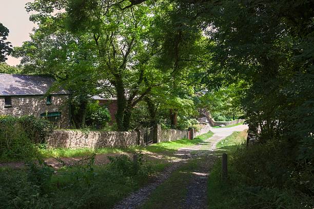 istock St David's, Pembrokeshire, Great Britain 607259090