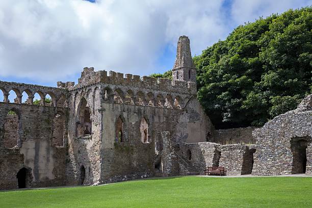 istock St Davids Bishops Palace, St David's, Pembrokeshire 607259196