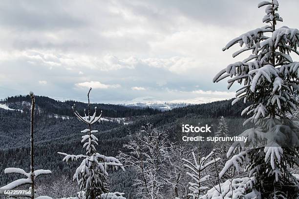 Ski Resort Bukovel Ukraine Stock Photo - Download Image Now - Blue, Bukovel, Endurance