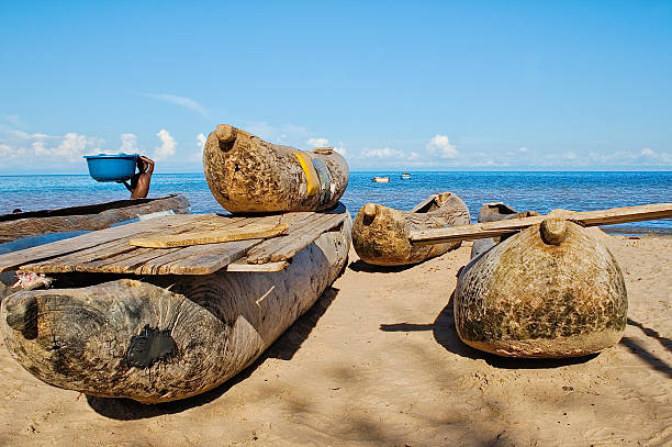 canoe scavate sulla riva del lago malawi - logboat foto e immagini stock