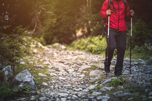 Hiker in red jacket walks alone on a mountain trail