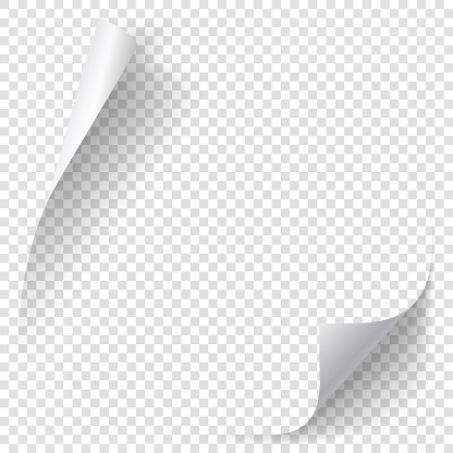 White gradient paper curl with shadow isolated on transparent background. Vector sticker paper note for memo and notice. Vector template illustration for your design