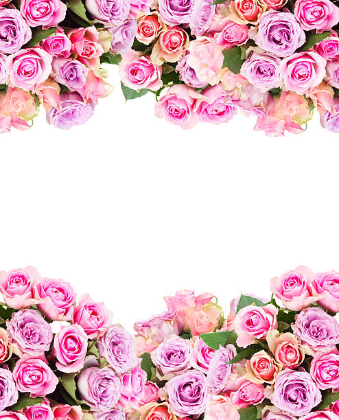 istock bouquet of fresh roses 607263320