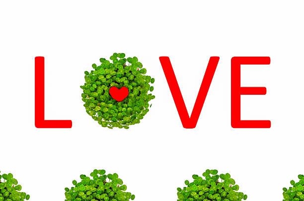 Valentine love symbol surrounded by green lily with love text isolated in white background