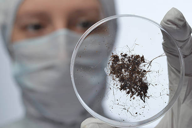 istock study land on the glass in the laboratory 607267502