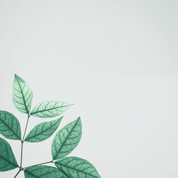 istock classic color leaves on mulberry paper texture 607267604